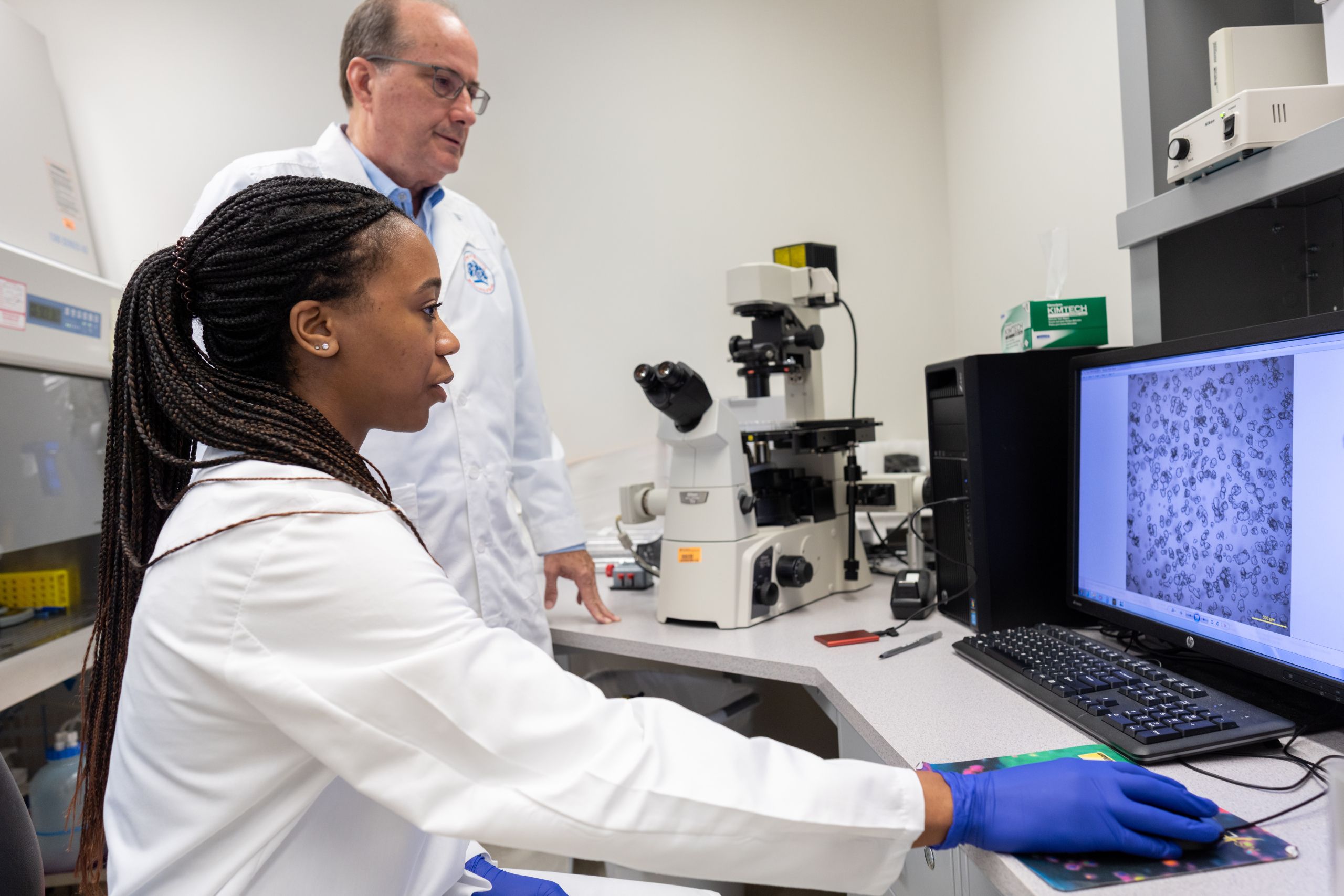 Investigación del cáncer de páncreas